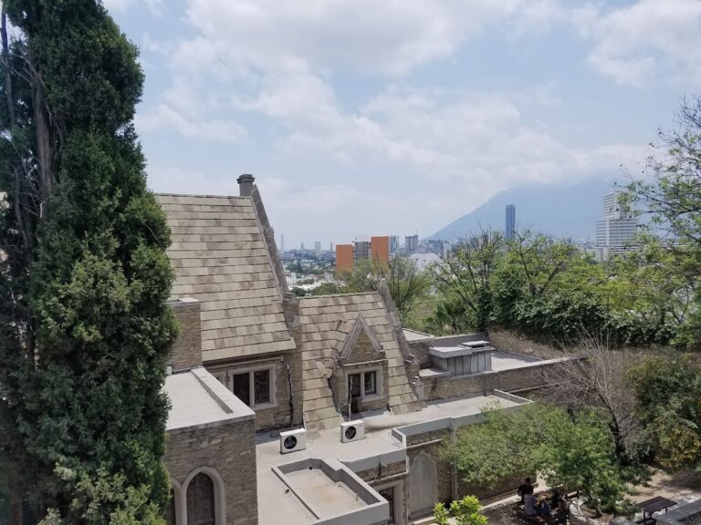 29589 cedart 8220alfonso reyes8221 768x576