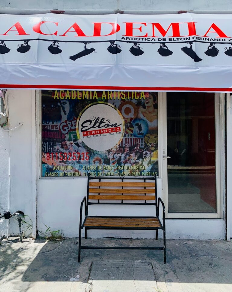 29609 academia artistica de elton fernandez 768x963