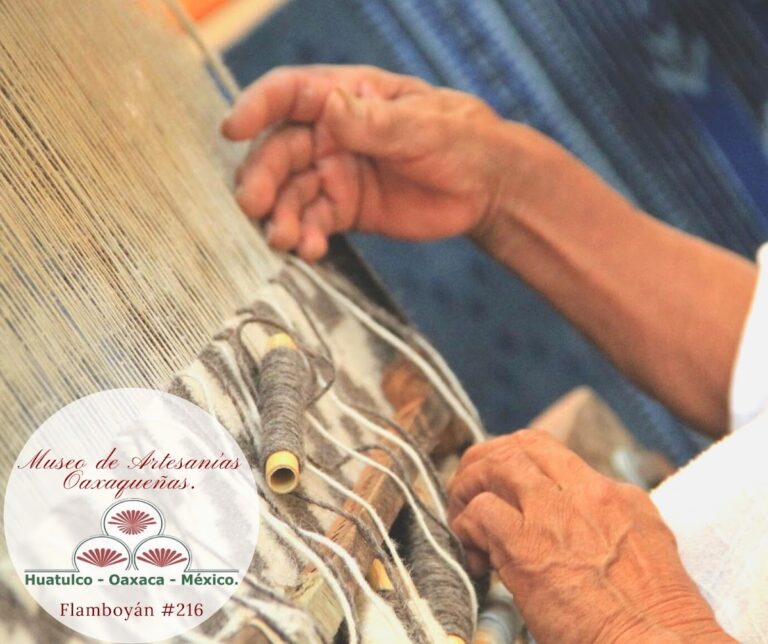 29613 museo de artesanias oaxaquenas 768x644