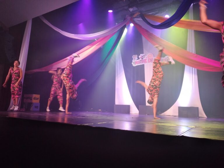 29638 instituto de la cultura y las artes 768x576