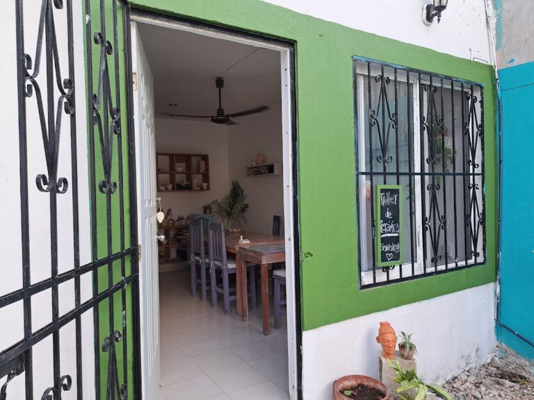 29650 cactus taller de ceramica 768x576