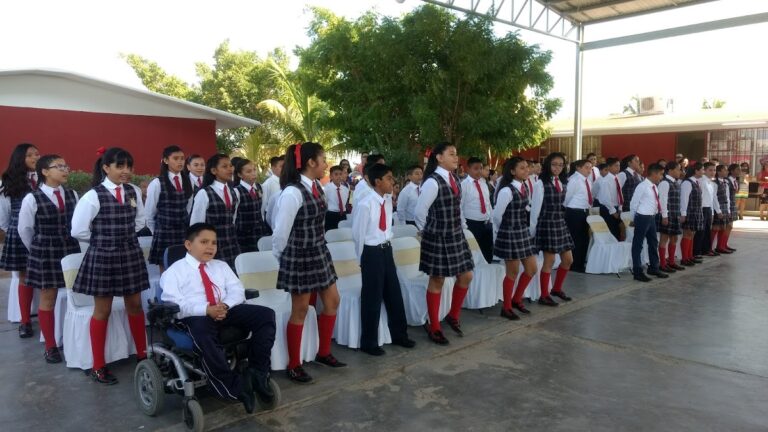 29805 escuela primaria maria joaquina amador amador 768x432