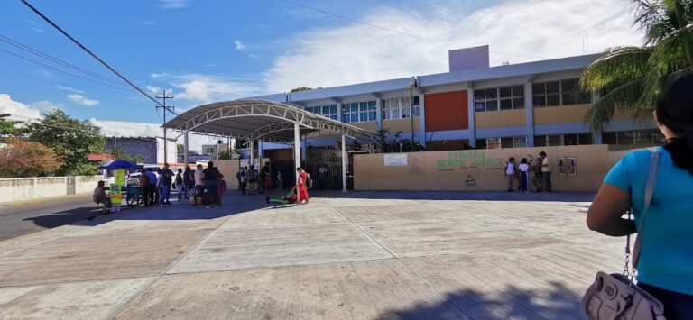 29826 escuela primaria urbana federal benito juarez 768x355