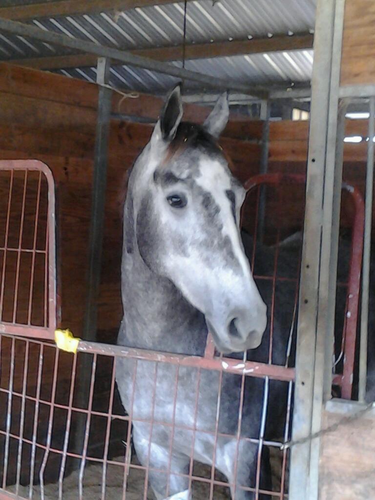 29832 colegio benemerito de las americas