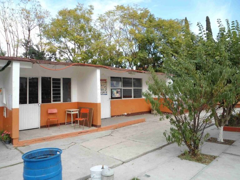 30010 escuela primaria urbana gral. vicente guerrero saldana 768x576