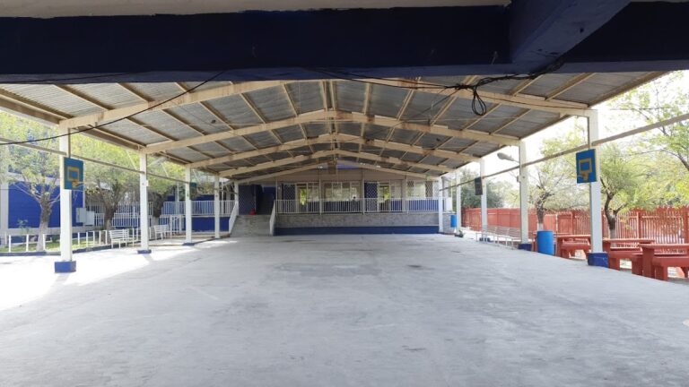 30047 esc. primaria 8220profr. alberto najera hernandez8221 768x432