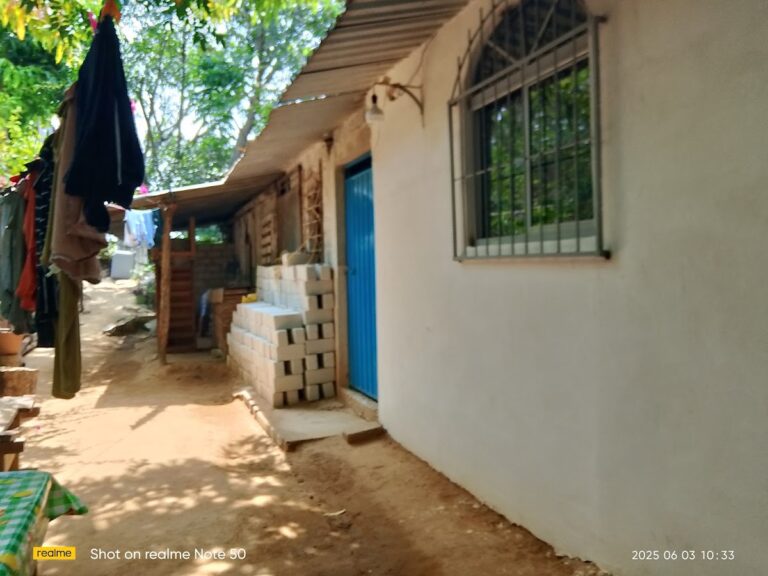 30081 primaria adolfo lopez mateos 768x576