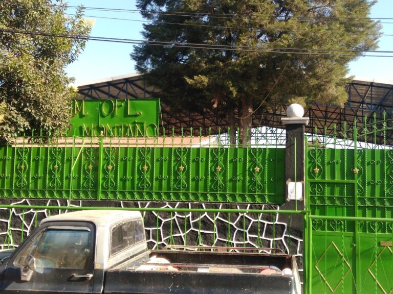 30162 escuela primaria oficial profra paz montano 768x576