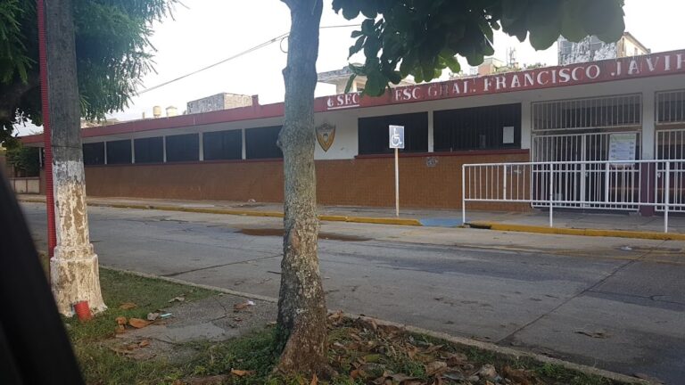 30201 escuela primaria gral. francisco javier mina 768x432