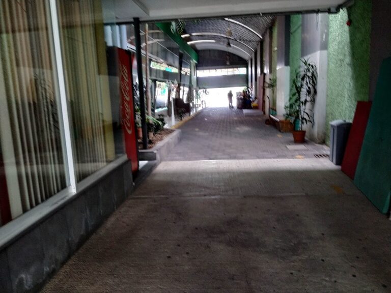 30204 direccion general de educacion primaria estatal 768x576