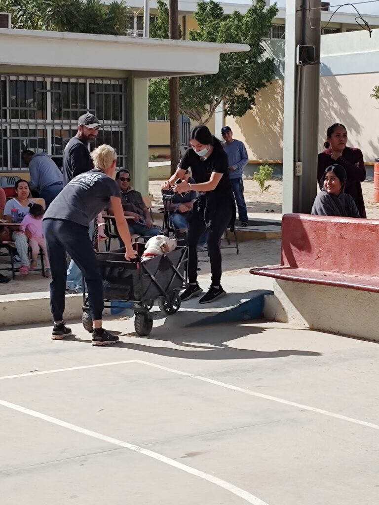 30277 esc. sec. jose refugio rodriguez gonzalez 768x1024