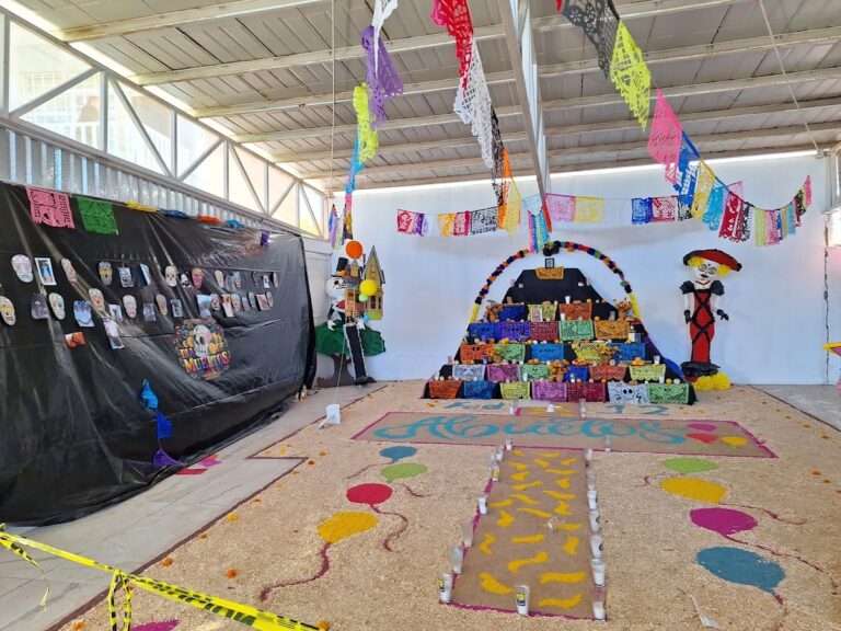 30299 escuela secundaria tecnica n° 3101 768x576