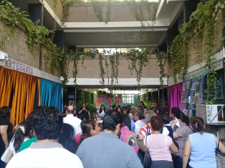 30337 instituto educativo de tabasco carlos pellicer camara 768x576