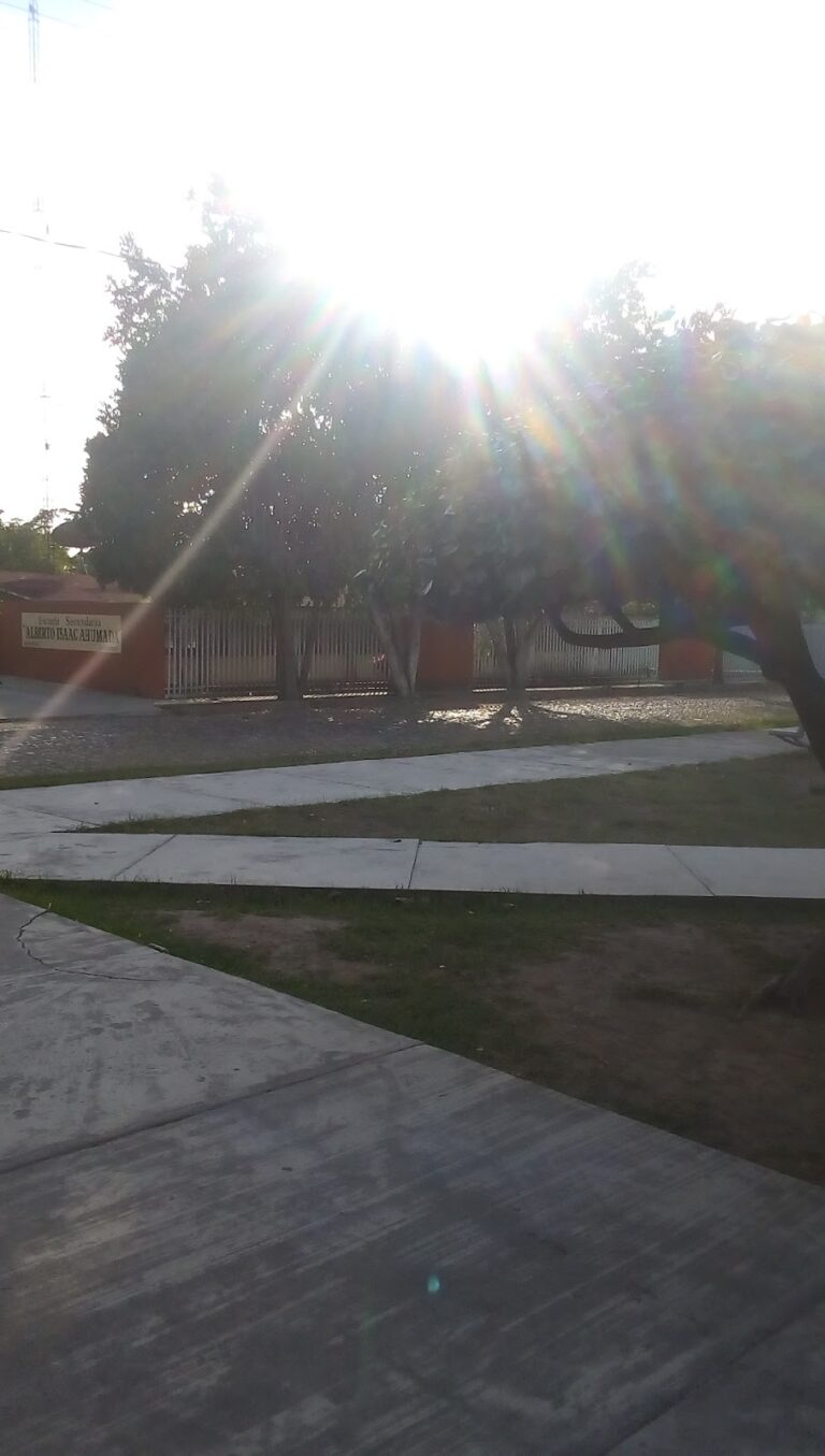 30372 escuela secundaria 8220alberto isaac ahumada8221 t.m.t.v 768x1355