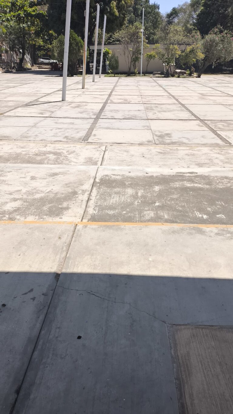 30378 escuela secundaria estatal no. 8 constitucion de 1857 768x1365