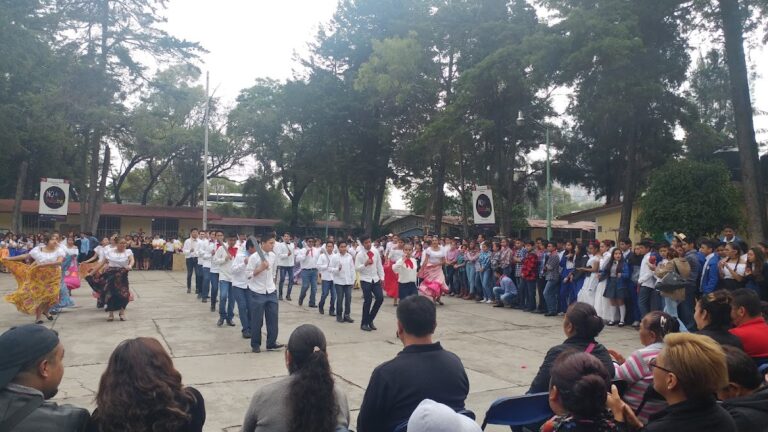 30478 escuela secundaria general n° 33 8220ricardo flores magon8221 768x432