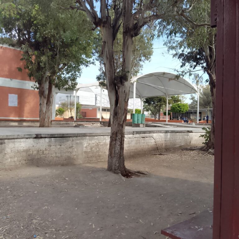 30586 escuela secundaria tecnica no. 11 768x768