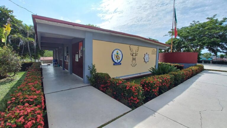 30603 secundaria tecnica numero 63 768x432