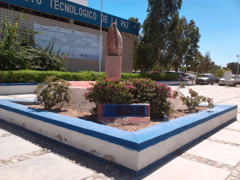 30768 instituto tecnologico de la paz 768x576