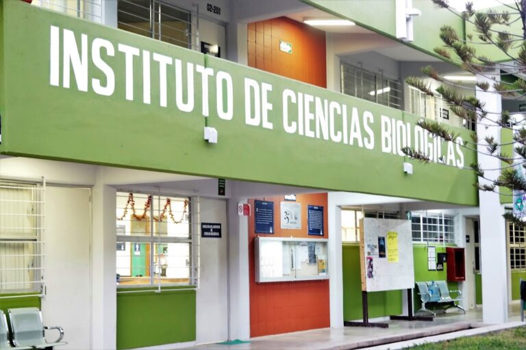 30776 universidad de ciencias y artes de chiapas 768x511