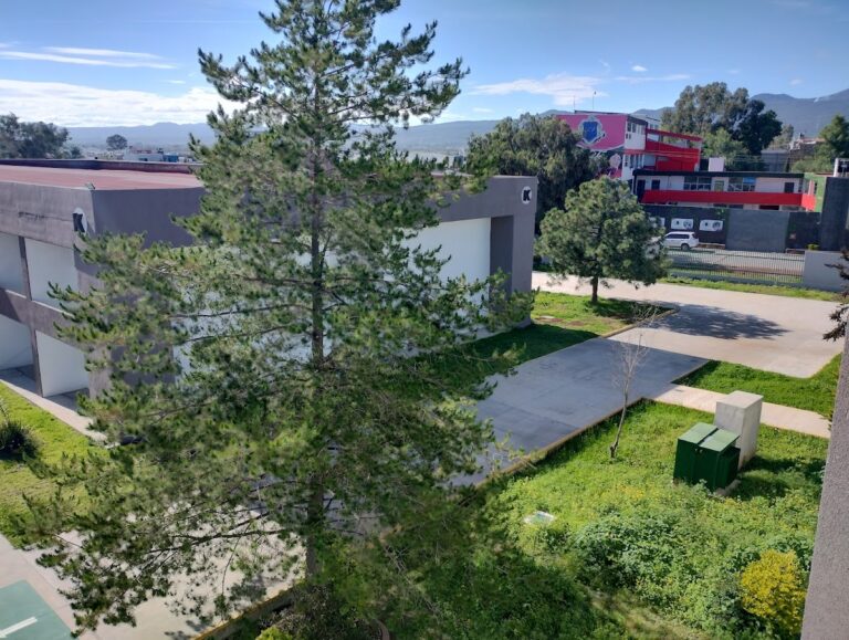 30918 universidad tecnologica de tulancingo 768x579