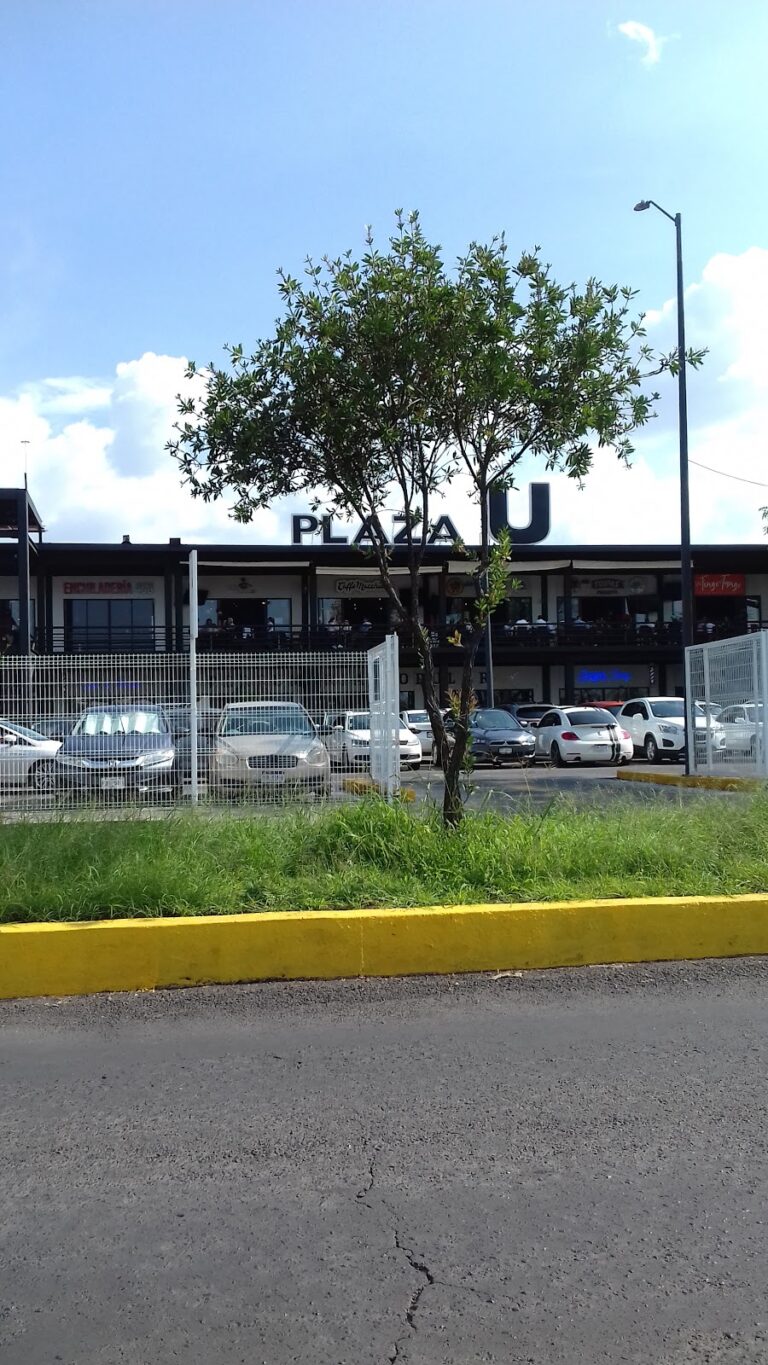 30956 avenida universidad 768x1365