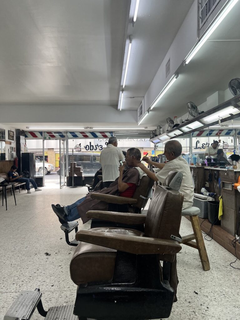 31029 peluqueria lerdo 768x1024