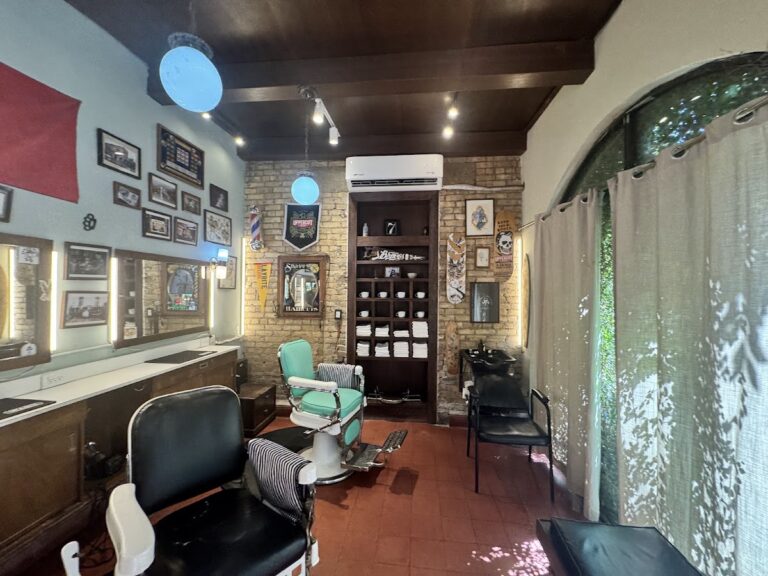 31253 bravos 768x576