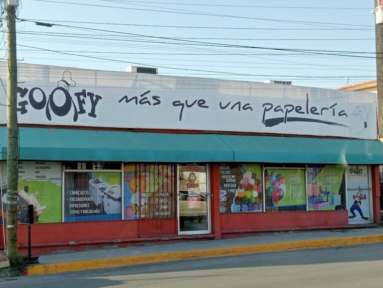 31492 papeleria goofy 768x579