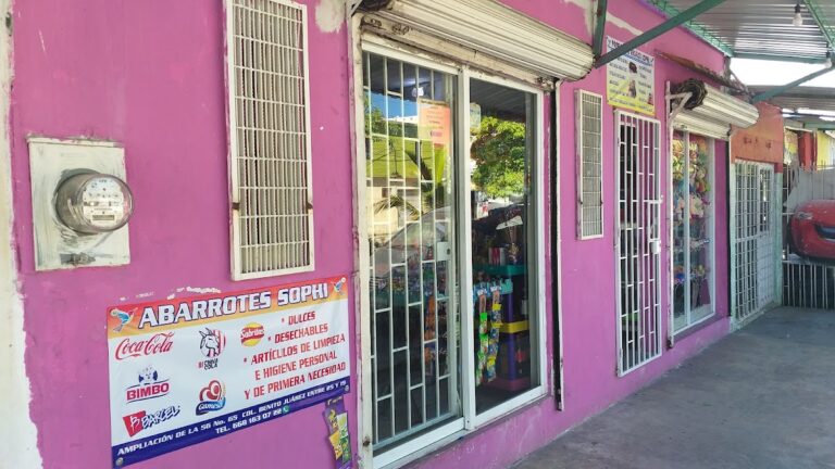 31520 papeleria y tienda de regalos 8220sophi8221 768x432