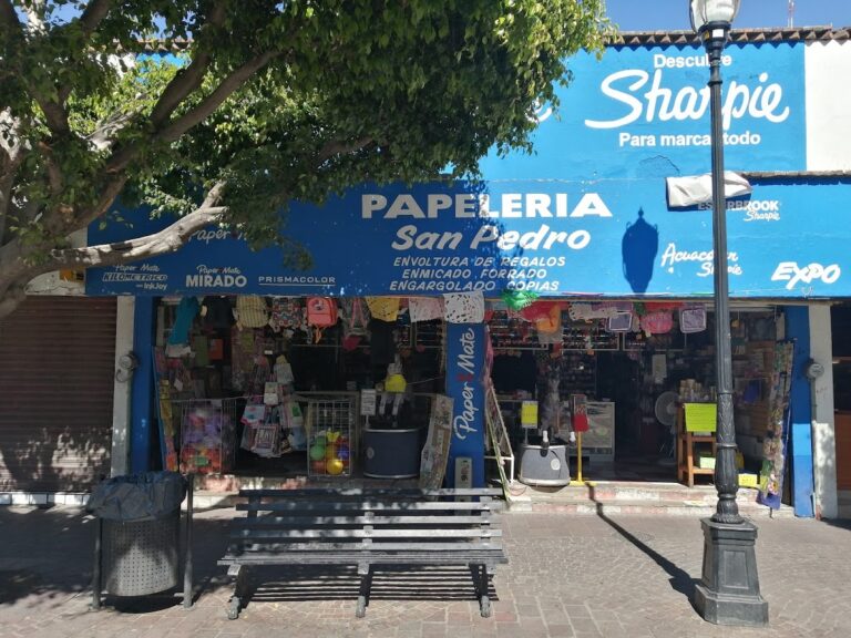 31691 papeleria san pedro 768x576
