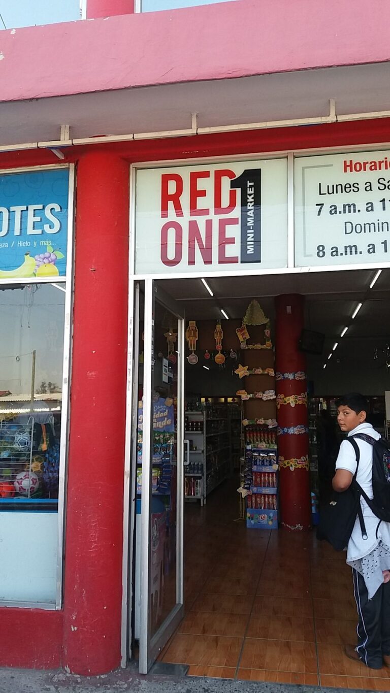 31707 red one sucursal moctezuma 768x1365