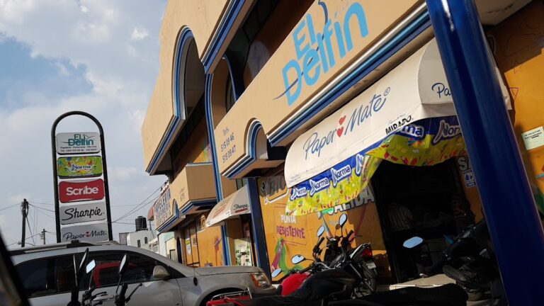 31756 papeleria perfumeria y merceria el delfin s.a. de c.v 768x432