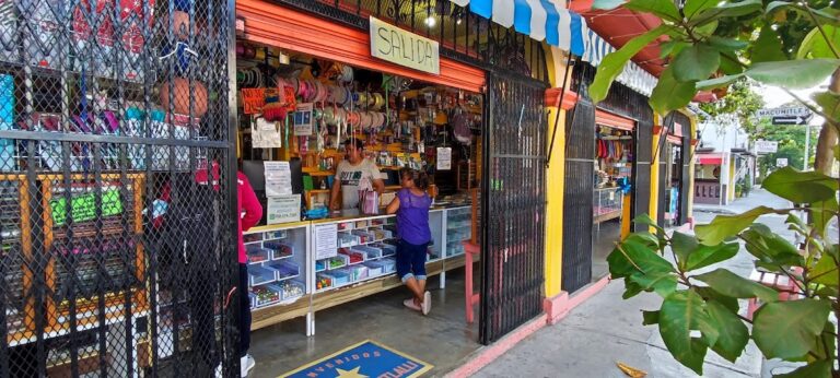 31788 papeleria citlalli 768x346