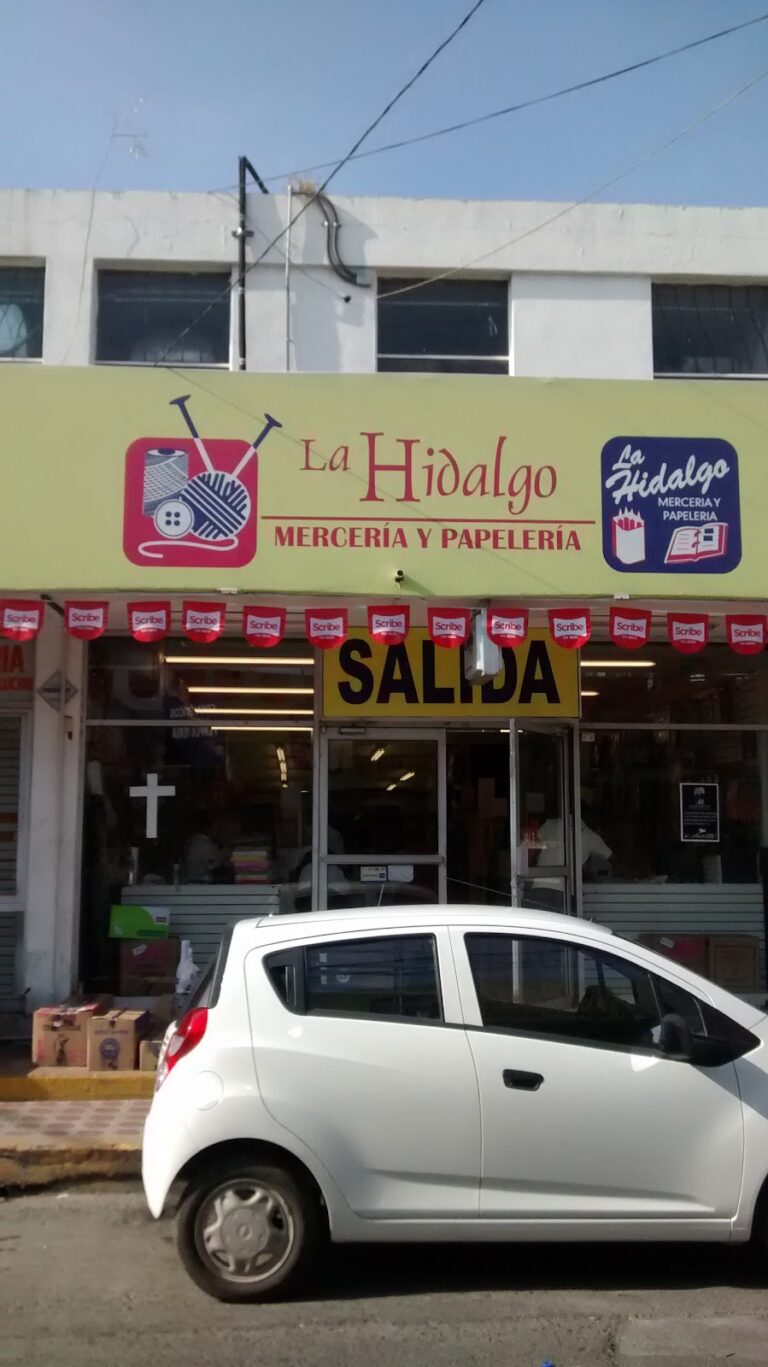 31800 la hidalgo merceria y papeleria. matriz 768x1367