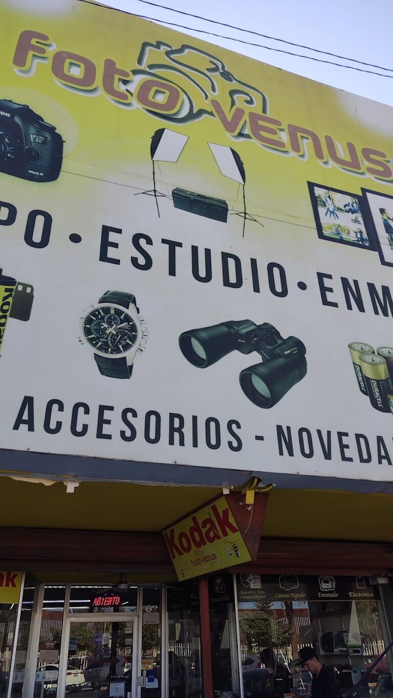 31996 foto venus studio digital 768x1365