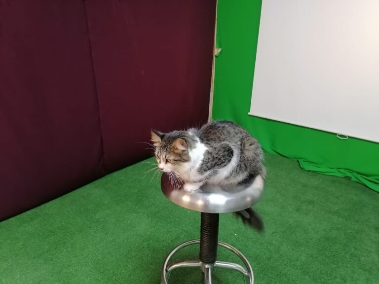 32068 cristol foto fotografia y enmarcado portarretratos marcos a diferentes medidas 768x576