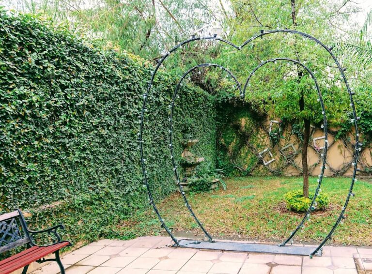 32078 luis angel rodriguez fotografia video 768x566