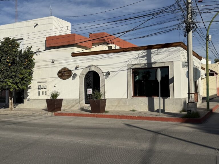 32398 foto rosas 768x576