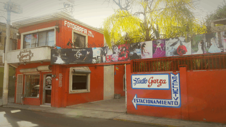 32458 fotografia garza 768x432