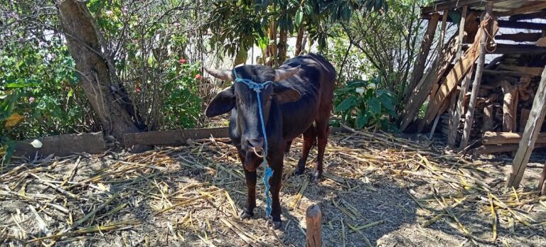 32514 foto herazo 768x348