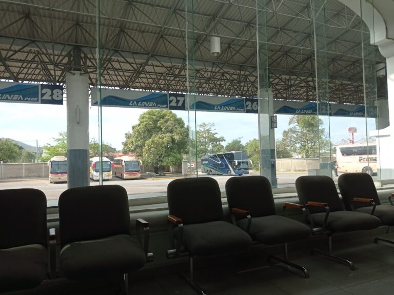 32630 la linea manzanillo 768x575