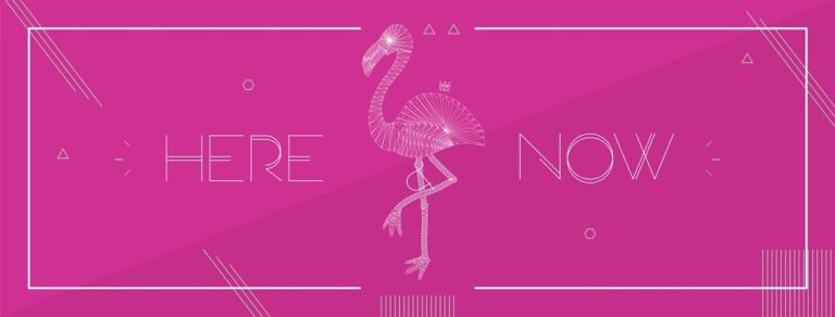 32649 symmetry print 768x292