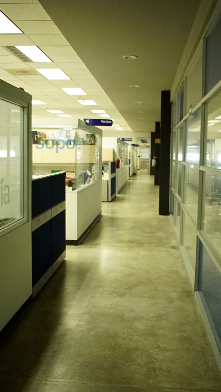 32888 grupo regio 768x1362