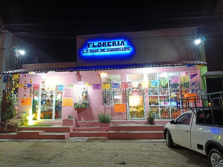 33034 floreria la rosa de guadalupe 768x576