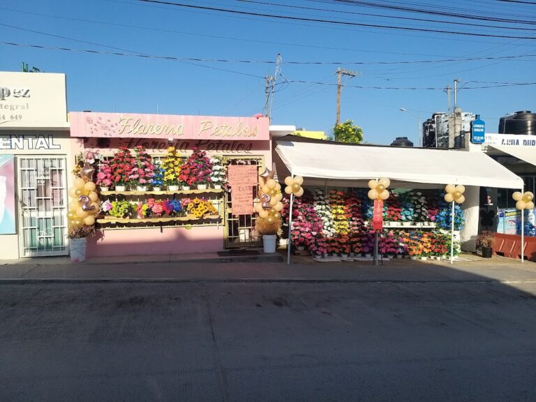 33036 floreria petalos 768x576