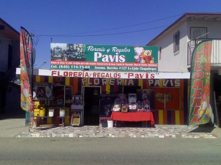 33042 floreria pavis 768x576