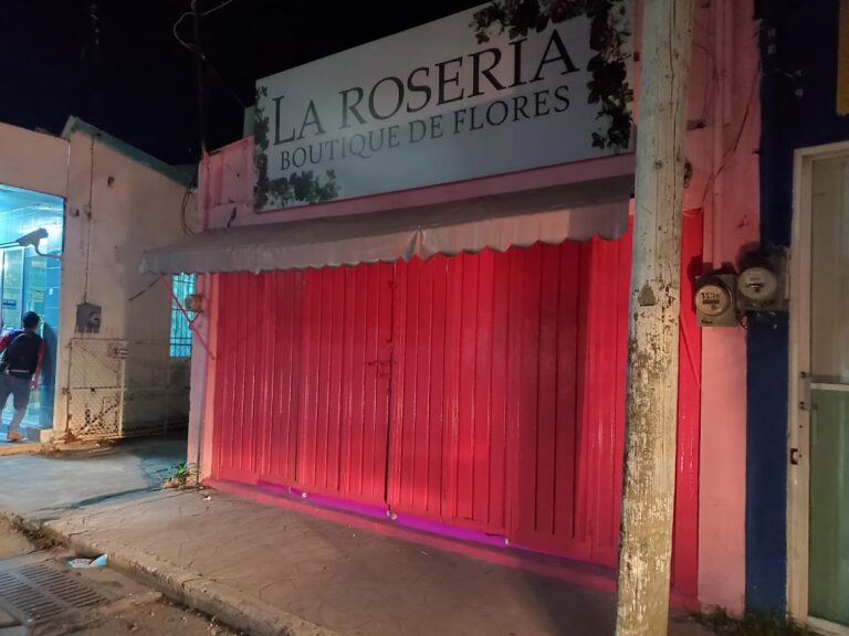 33050 casa montejo 768x576