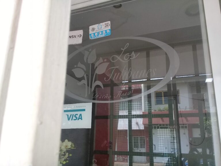 33078 floreria los tulipanes 768x576