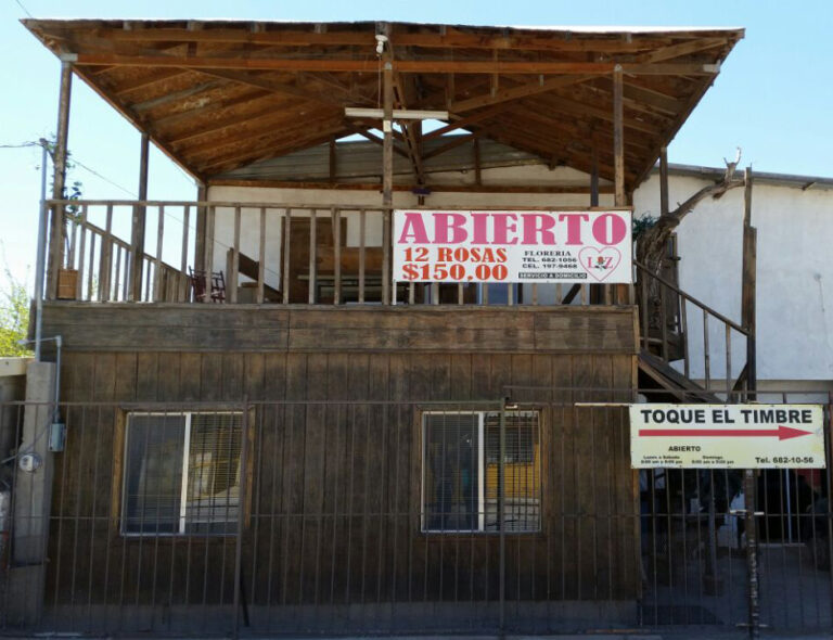 33082 floreria lis 768x590